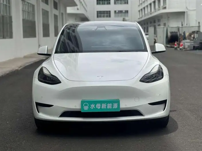 Model Y 2022 Model Rear-wheel drive version – фото 2