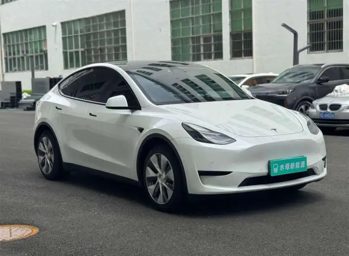 Model Y 2022 Model Rear-wheel drive version – фото 3