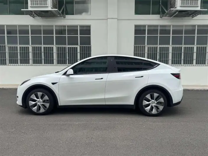 Model Y 2022 Model Rear-wheel drive version – фото 4