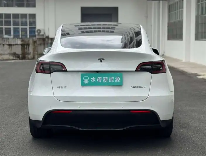 Model Y 2022 Model Rear-wheel drive version – фото 6