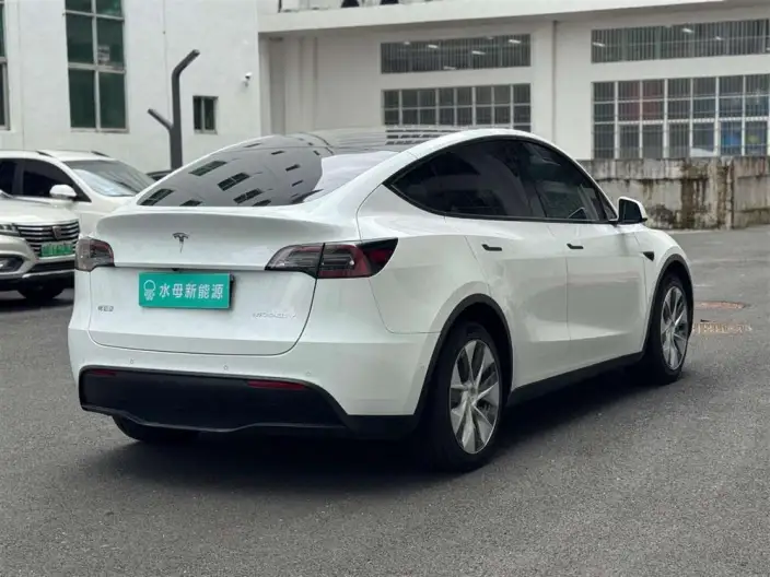 Model Y 2022 Model Rear-wheel drive version – фото 7