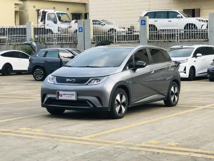 BYD Dolphin 2023 Model Fashion Edition – фото 1