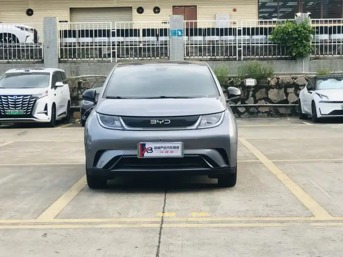 BYD Dolphin 2023 Model Fashion Edition – фото 2