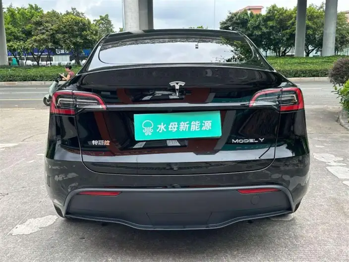 Model Y 2022 Model Facelift Rear-wheel drive version – фото 5