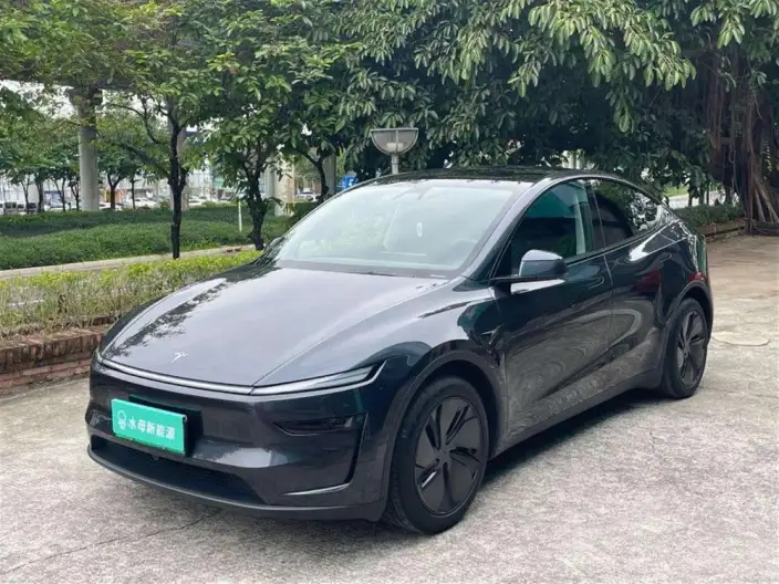 Model Y 2025 Model Rear-wheel drive version – фото 1