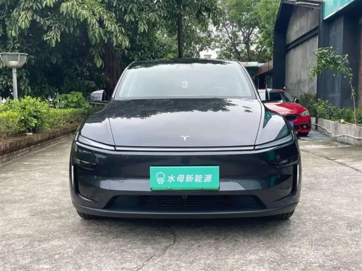 Model Y 2025 Model Rear-wheel drive version – фото 2