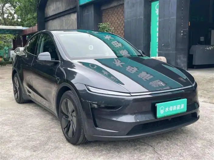 Model Y 2025 Model Rear-wheel drive version – фото 3