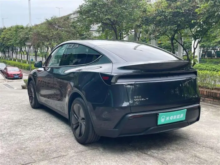 Model Y 2025 Model Rear-wheel drive version – фото 5