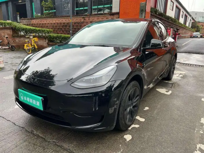 Model Y 2023 Model Rear-wheel drive version – фото 1