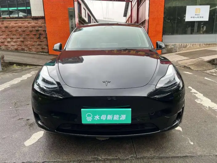 Model Y 2023 Model Rear-wheel drive version – фото 2