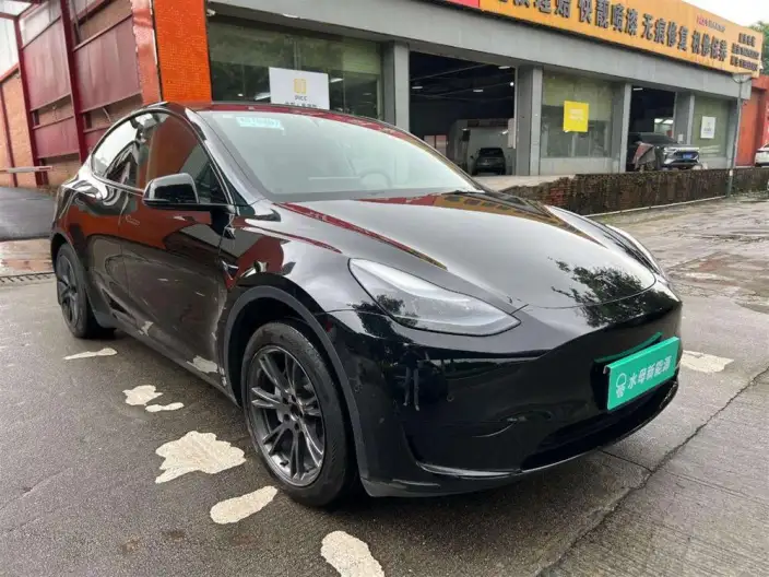 Model Y 2023 Model Rear-wheel drive version – фото 3