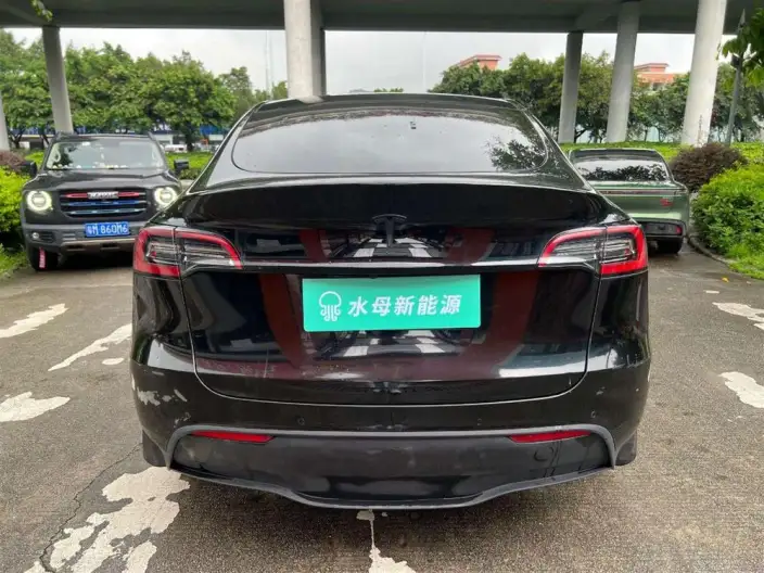Model Y 2023 Model Rear-wheel drive version – фото 6