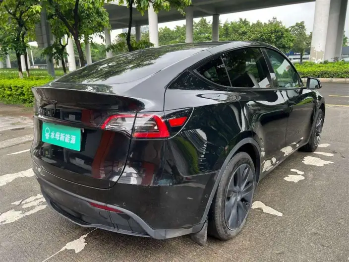 Model Y 2023 Model Rear-wheel drive version – фото 7