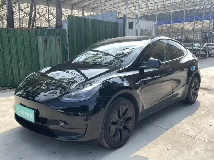 Model Y 2024 Model Rear-wheel drive version – фото 1