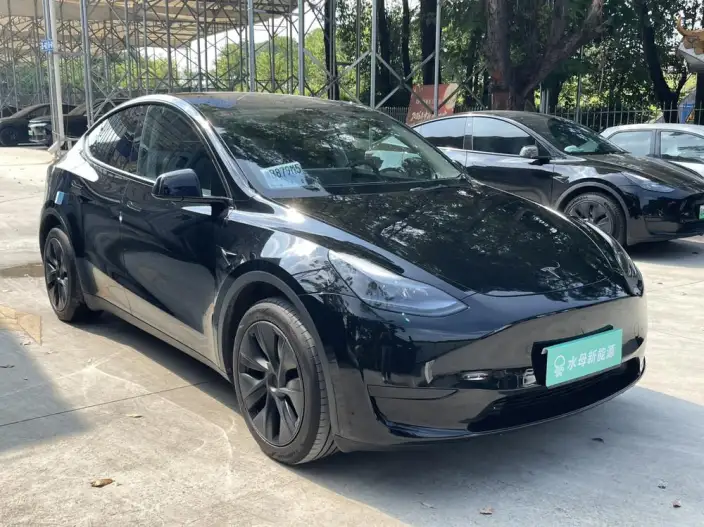 Model Y 2024 Model Rear-wheel drive version – фото 3