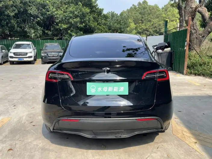 Model Y 2024 Model Rear-wheel drive version – фото 6