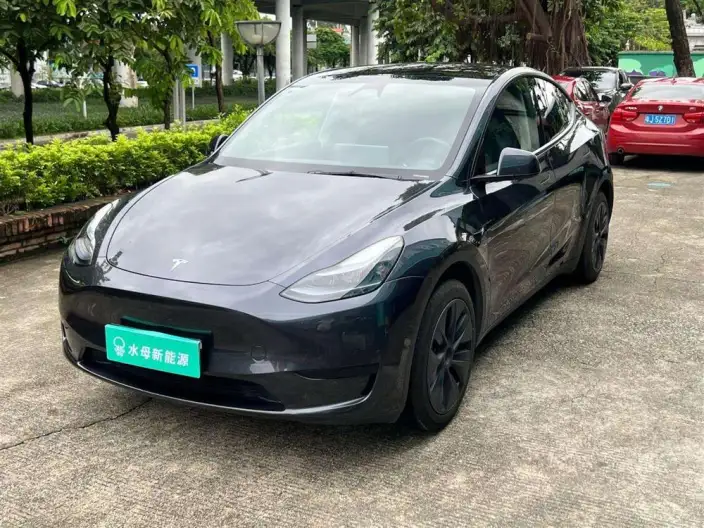 Model Y 2024 Model Rear-wheel drive version – фото 1