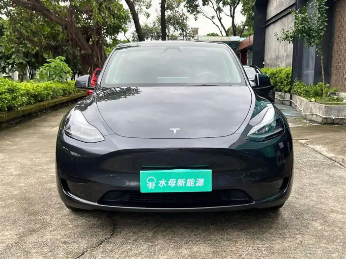 Model Y 2024 Model Rear-wheel drive version – фото 2
