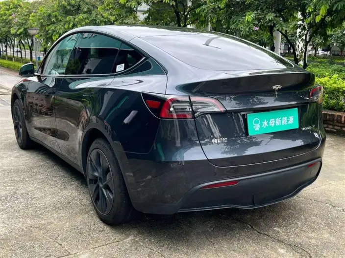 Model Y 2024 Model Rear-wheel drive version – фото 5