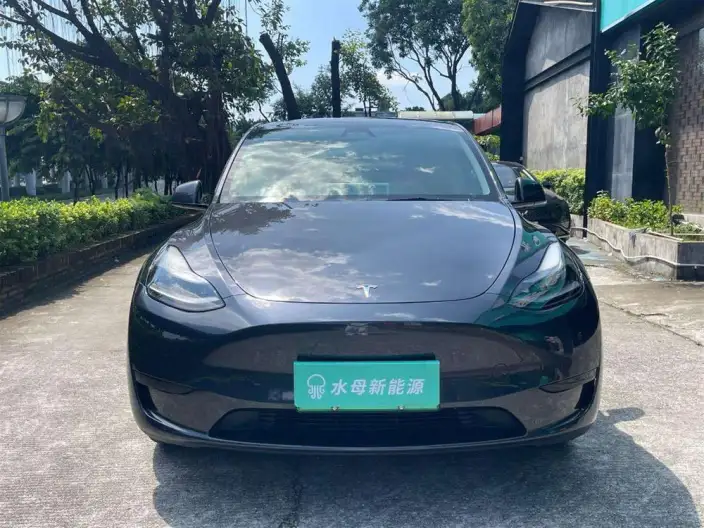 Model Y 2024 Model Rear-wheel drive version – фото 2