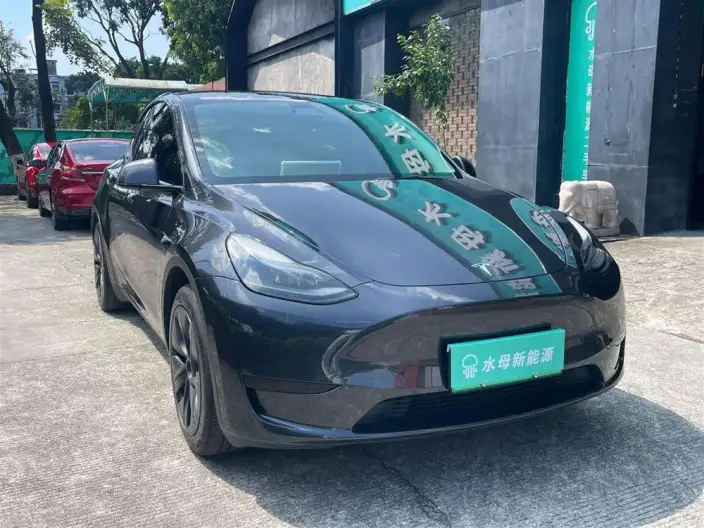Model Y 2024 Model Rear-wheel drive version – фото 3