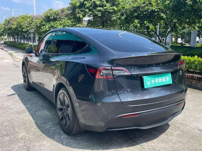 Model Y 2024 Model Rear-wheel drive version – фото 5