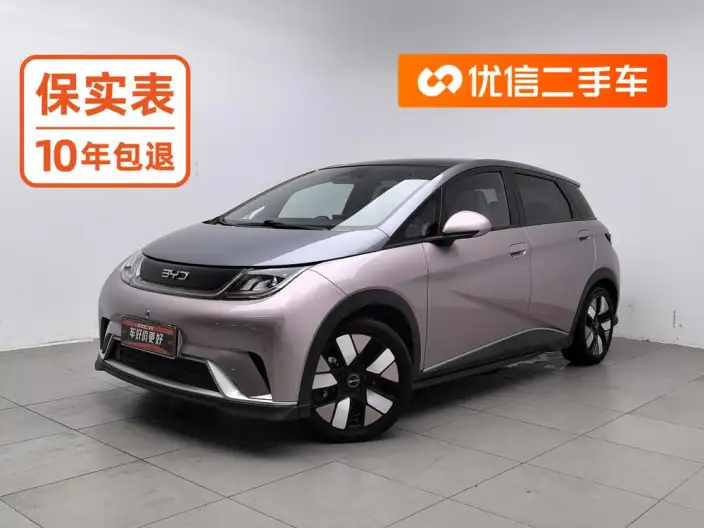 BYD Dolphin 2025 Model 520KM Knight Edition – фото 1