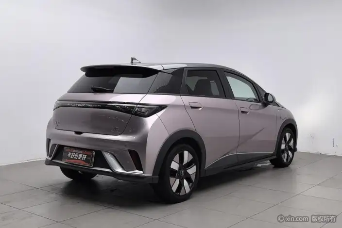 BYD Dolphin 2025 Model 520KM Knight Edition – фото 4
