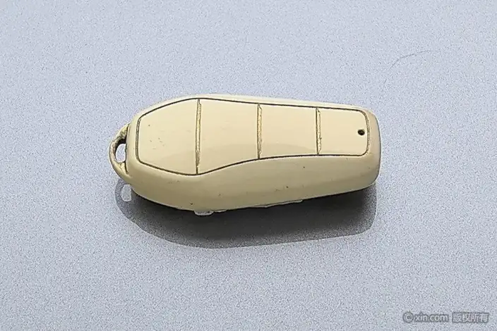 BYD Dolphin 2025 Model 520KM Knight Edition – фото 6