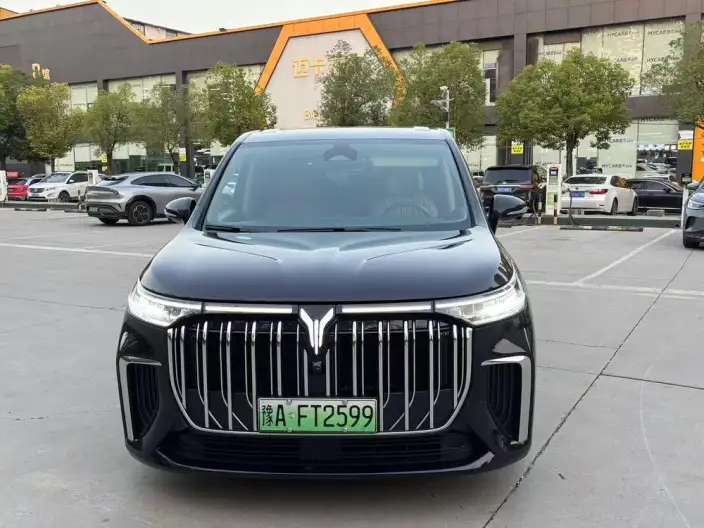 VOYAH Dreamer PHEV 2024 Model Ultra-long Endurance Ultimate Edition – фото 2