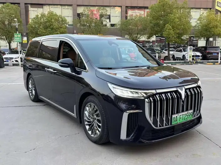 VOYAH Dreamer PHEV 2024 Model Ultra-long Endurance Ultimate Edition – фото 3