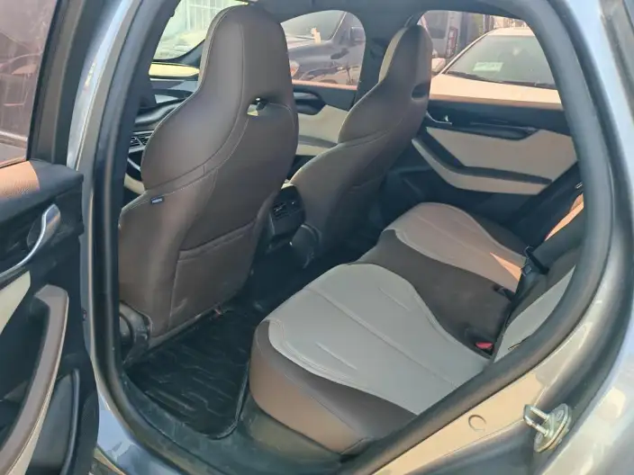 BYD Qin PLUS DM 2023 Model DM-i Champion Edition 55KM Leading Model – фото 9