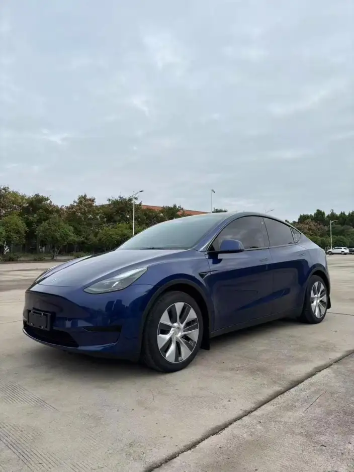 Model Y 2022 Model Rear-wheel drive version – фото 1