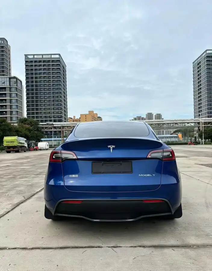 Model Y 2022 Model Rear-wheel drive version – фото 5