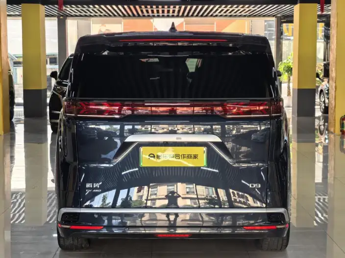 Denza D9 EV 2022 Model 600 4WD Flagship Model – фото 5