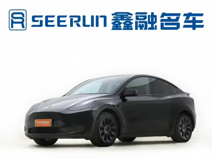 Model Y 2022 Model Facelift Rear-wheel drive version – фото 1