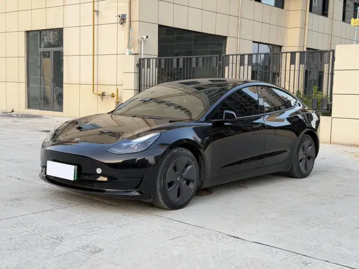 Model 3 2022 Model Rear-wheel drive version – фото 1