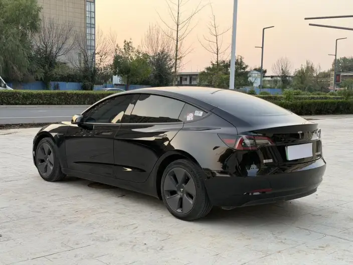 Model 3 2022 Model Rear-wheel drive version – фото 5