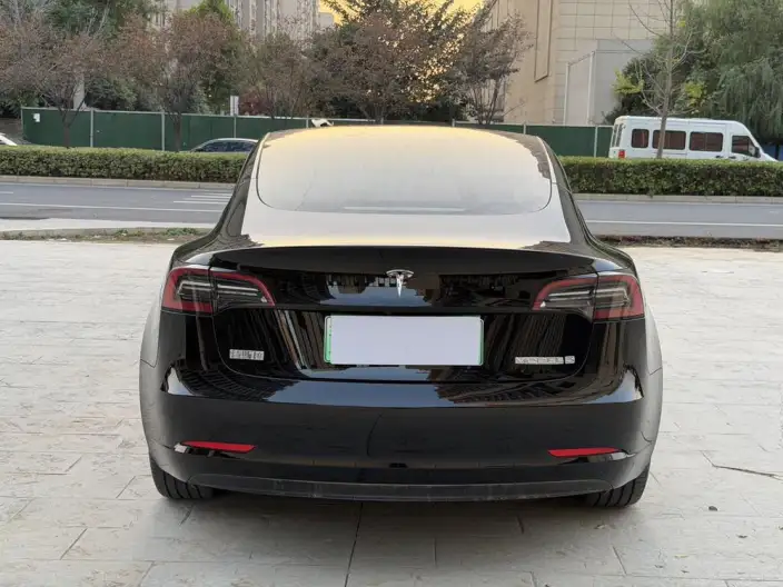 Model 3 2022 Model Rear-wheel drive version – фото 6