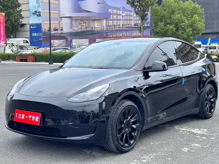 Model Y 2022 Model Rear-wheel drive version – фото 1