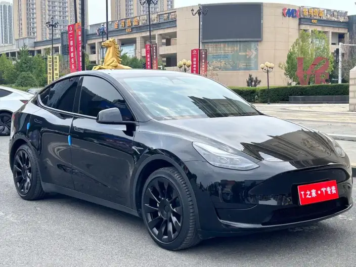 Model Y 2022 Model Rear-wheel drive version – фото 3