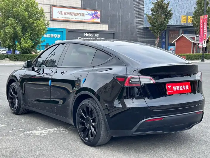 Model Y 2022 Model Rear-wheel drive version – фото 4