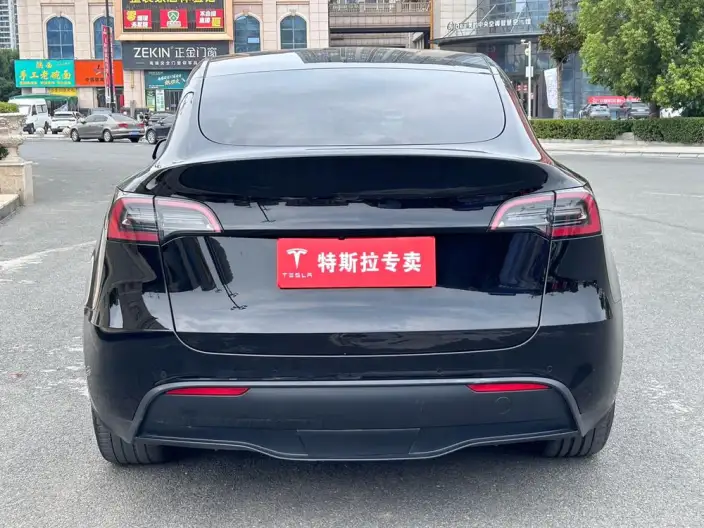 Model Y 2022 Model Rear-wheel drive version – фото 5