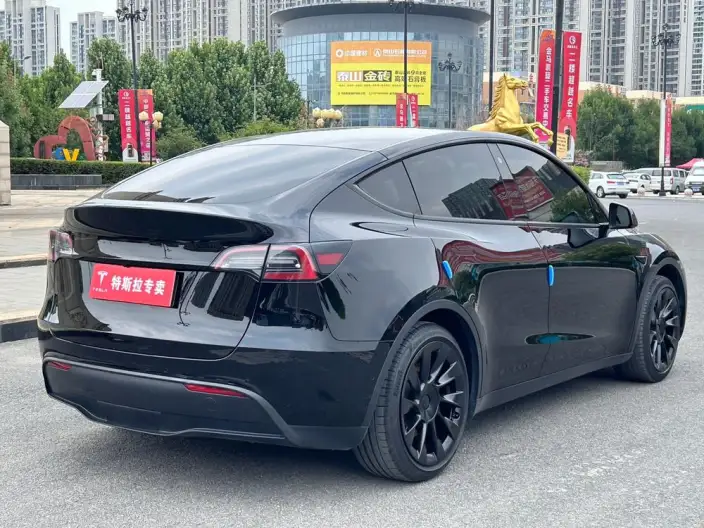 Model Y 2022 Model Rear-wheel drive version – фото 6