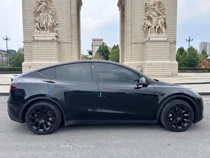 Model Y 2022 Model Rear-wheel drive version – фото 7