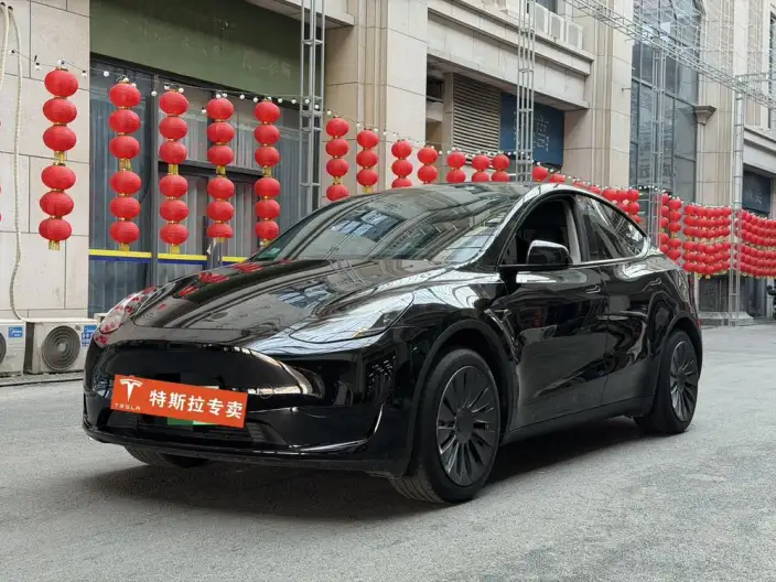 Model Y 2023 Model Rear-wheel drive version – фото 1