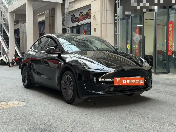 Model Y 2023 Model Rear-wheel drive version – фото 2