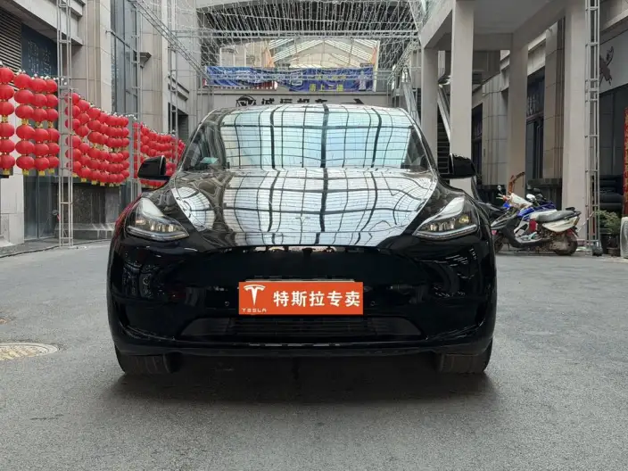 Model Y 2023 Model Rear-wheel drive version – фото 8