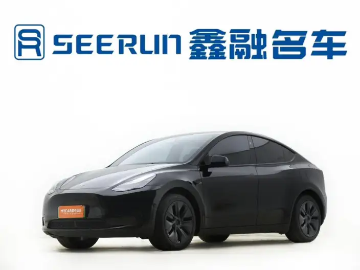 Model Y 2024 Model Rear-wheel drive version – фото 1