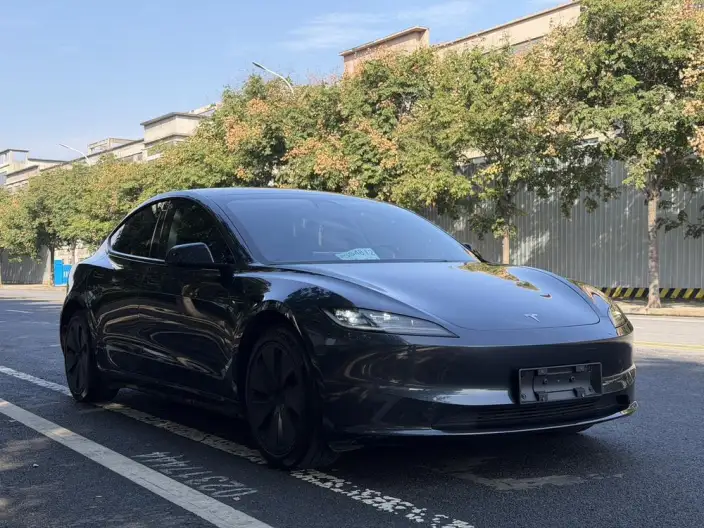 Model 3 2023 Model Rear-wheel drive version – фото 3